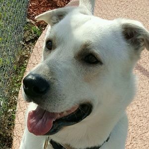 Meet your Posher, Joanna